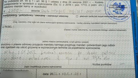 grafika