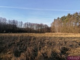Ciekawe, mało znane miejsca Wrocławia cz. 2: Ścieżka przyrodniczo-edukacyjna Jarnołtów - Ratyń