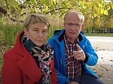 grafika