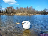 Ciekawe, mało znane miejsca Wrocławia cz. 5: Pawłowice - Pałac Kornów, park, jezioro