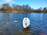 Ciekawe, mało znane miejsca Wrocławia cz. 5: Pawłowice - Pałac Kornów, park, jezioro