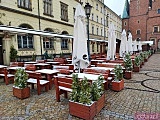 [FOTO] Wiosenny śnieg we Wrocławiu