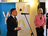 grafika