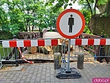 [FOTO] Drzewo runęło na kładkę św. Antoniego nad miejską fosą. Zniszczenia wymusiły zamknięcie mostu