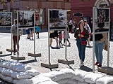 grafika