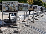 grafika