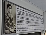 grafika