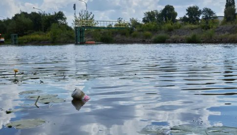 >>> ZATRUCIE ODRY | Główny Inspektorat Ochrony Środowiska (GIOŚ) opublikował pierwsze wyniki badań 