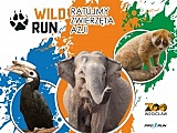 Wild Run 2022: Biegniemy, by pomóc zwierzętom Azji
