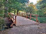 Odnowiono mostek w Lesie Sołtysowickim. Cieszy oko i spacerowiczów [Foto]