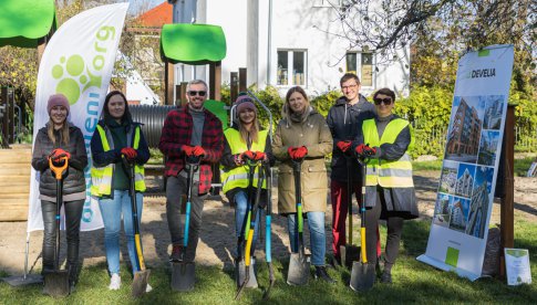 Więcej drzew dla przedszkolaków na Karłowicach [Foto]