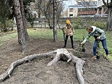 Biopolepszacz glebowy studentów UPWr [Foto]