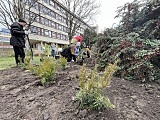 Biopolepszacz glebowy studentów UPWr [Foto]