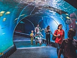 Zoo z nagrodą Wrocław bez Barier [Foto]