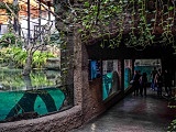 Zoo z nagrodą Wrocław bez Barier [Foto]