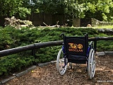 Zoo z nagrodą Wrocław bez Barier [Foto]