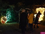 Kolejne świąteczne iluminacje we Wrocławiu już otwarte: Światłogród w Ogrodzie Botanicznym [Foto, Cennik, Terminy otwarcia]