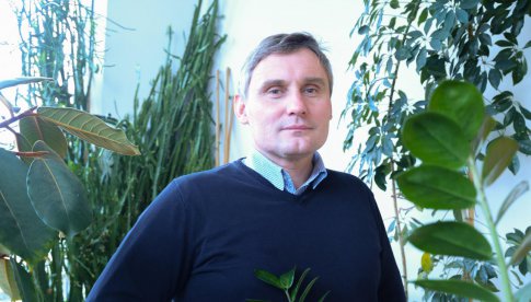 Prof. Bąbelewski: Za 30 lat stracimy świerkowe choinki