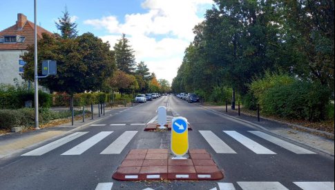 ZDiUM podsumowuje działania na rzecz poprawy bezpieczeństwa pieszych w 2022 roku