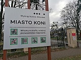 Partynickie Miasto Koni: Nowy projekt na Wrocławskim Torze Wyścigów Konnych