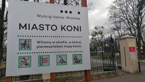 Partynickie Miasto Koni: Nowy projekt na Wrocławskim Torze Wyścigów Konnych