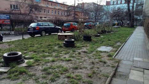 Tereny zielone na podwórzach wzdłuż ul. Kościuszki zostaną zagospodarowane [Foto, Szczegóły]