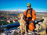 Poznaj Oriona - psa ratownika, który wrócił z Turcji. Teraz jest leczony przez lekarzy z UPWr [Foto]