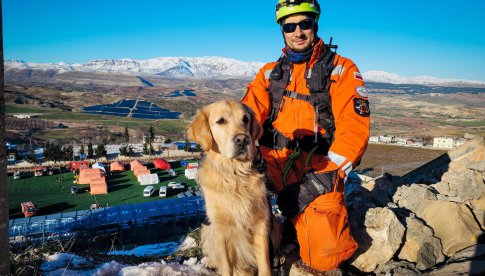 Poznaj Oriona - psa ratownika, który wrócił z Turcji. Teraz jest leczony przez lekarzy z UPWr [Foto]