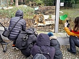 Tygrys Tengah obchodził swoje 14. urodziny [Foto]
