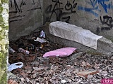 Ciekawe, mało znane miejsca Wrocławia cz. 7: Tajemnice Wyspy Opatowickiej
