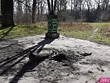 Ciekawe, mało znane miejsca Wrocławia cz. 7: Tajemnice Wyspy Opatowickiej