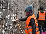 Zamalowali wulgarne napisy na ścianach budynków w ramach Światowego Dnia Walki z Dyskryminacją [Foto]