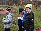 Księżniczki i rycerze przywitali wiosnę w Średniowiecznym Wrocławiu. Zarząd Zieleni Miejskiej zapowiada kolejne inwestycje [Foto]