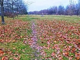 Przy ul. Koziej powstanie nowy ciąg pieszo-rowerowy [Foto]