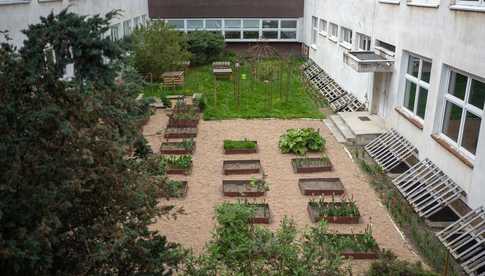 Przy szkołach i przedszkolach powstaną nowe ogródki warzywne [LISTA PLACÓWEK, FOTO]