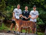 Z wizytą u tygrysów. Piłkarze Śląska odwiedzili ZOO