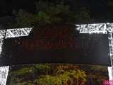 [WIDEO, FOTO] Park Iluminacji w Zamku Topacz pod Wrocławiem już otwarty. Zobacz cennik i godziny otwarcia