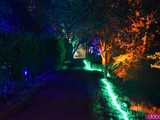 [WIDEO, FOTO] Park Iluminacji w Zamku Topacz pod Wrocławiem już otwarty. Zobacz cennik i godziny otwarcia