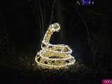 [WIDEO, FOTO] Park Iluminacji w Zamku Topacz pod Wrocławiem już otwarty. Zobacz cennik i godziny otwarcia