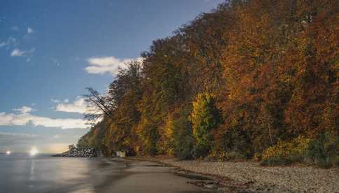 Skup mieszkań Gdynia