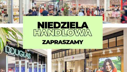 grafika 