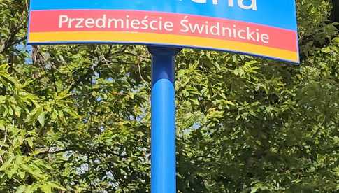grafika 