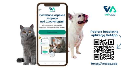 grafika 