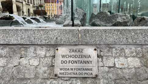 grafika 