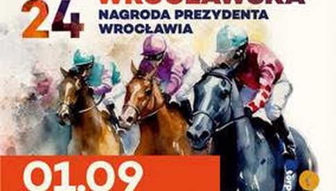 grafika 