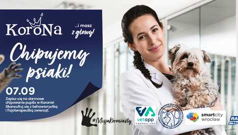grafika