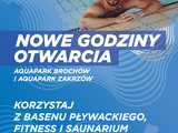 grafika