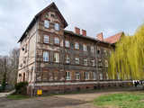 grafika