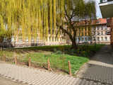 grafika