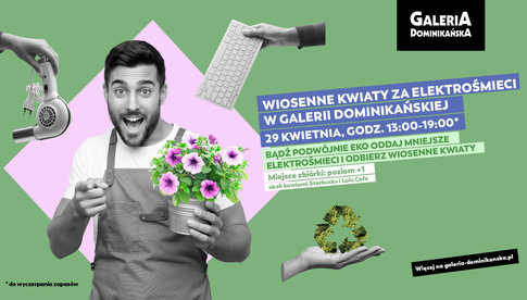 grafika